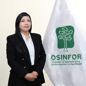 Diana Mercedes Franco Suárez