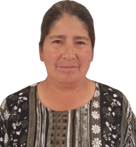 Huayhua Abregu Ana Graciela