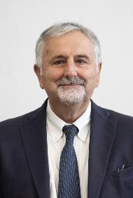 Ceccarelli Vincenzo Eletto Nelle Legislature Xi,x,ix