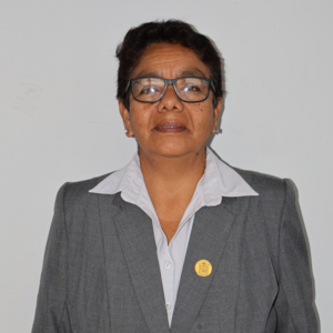 Aracelli Ballona Zapata