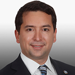Cristián Araya Lerdo De Tejada