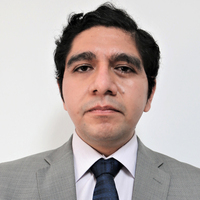Rommel Gustavo Ruiz Valerio