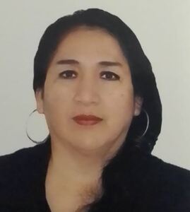 Ana María Auccasi Huamancoli