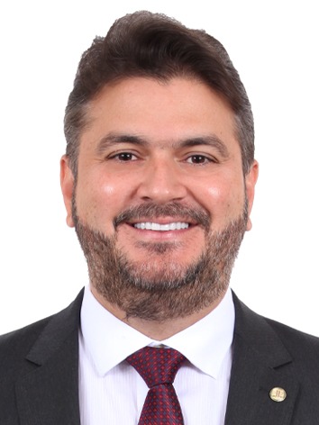 Diego Henrique Silva Cerqueira Martins
