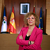 Declaración De Bienes Correo Electrónico C.v.
