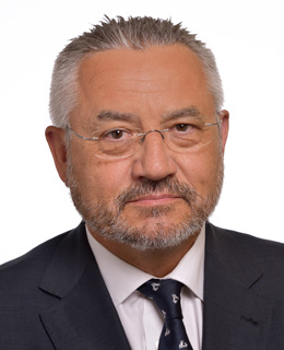Miquel Domínguez Pérez