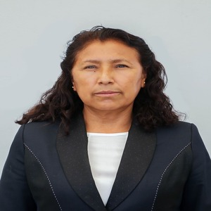 Dora Nieves Bustamante Yupanqui