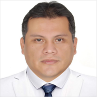 Luis Caceres Alavarez