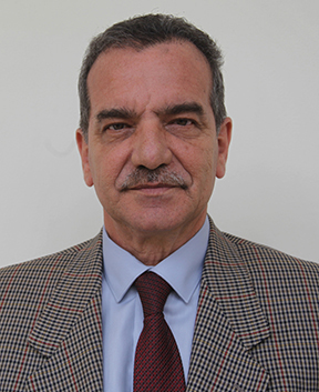 Luis Stefanelli Barjacoba