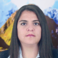 Carmen Alicia Tello Torres