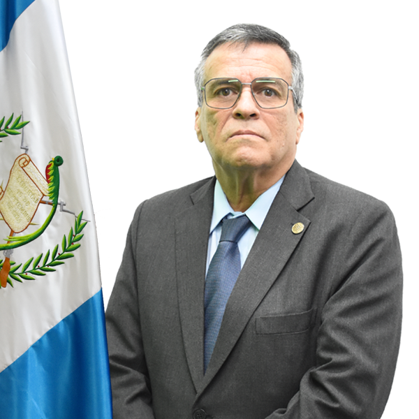 Lic Marco Antonio Mejía Villatoro