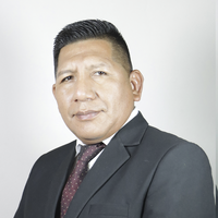 Freddy Ismael Mamani Quispe