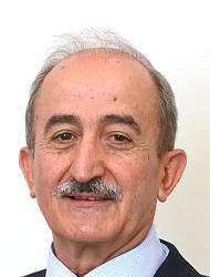 Ramiro Ibáñez Abad