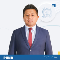 Elmer Radich Ventura Flores