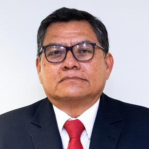Fernando Domingo Carlos Lozada Melgar