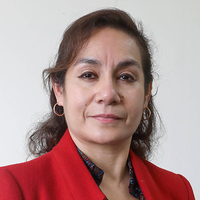 Rosario Del Pilar Benites Vilela