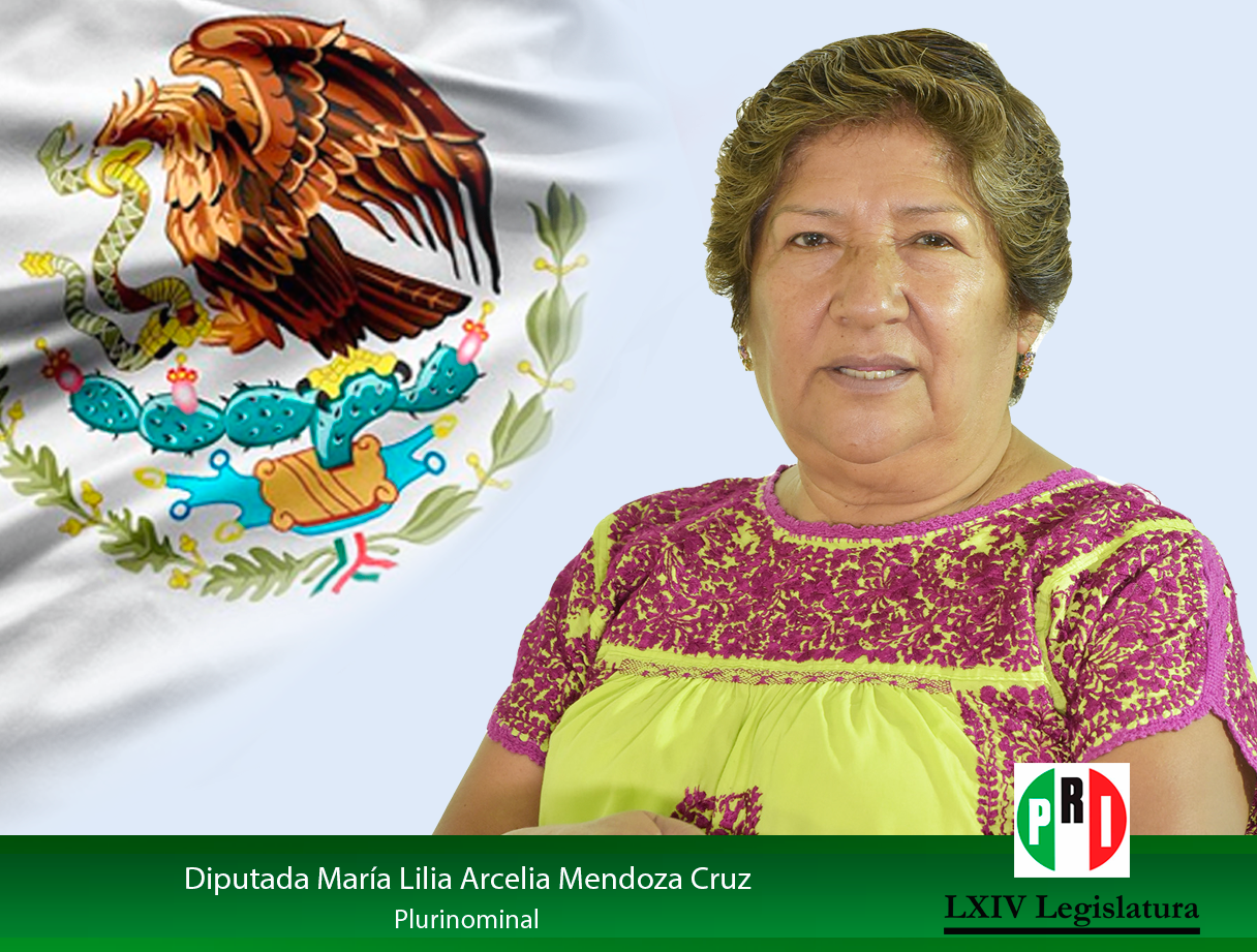 María Lilia Arcelia Mendoza Cruz