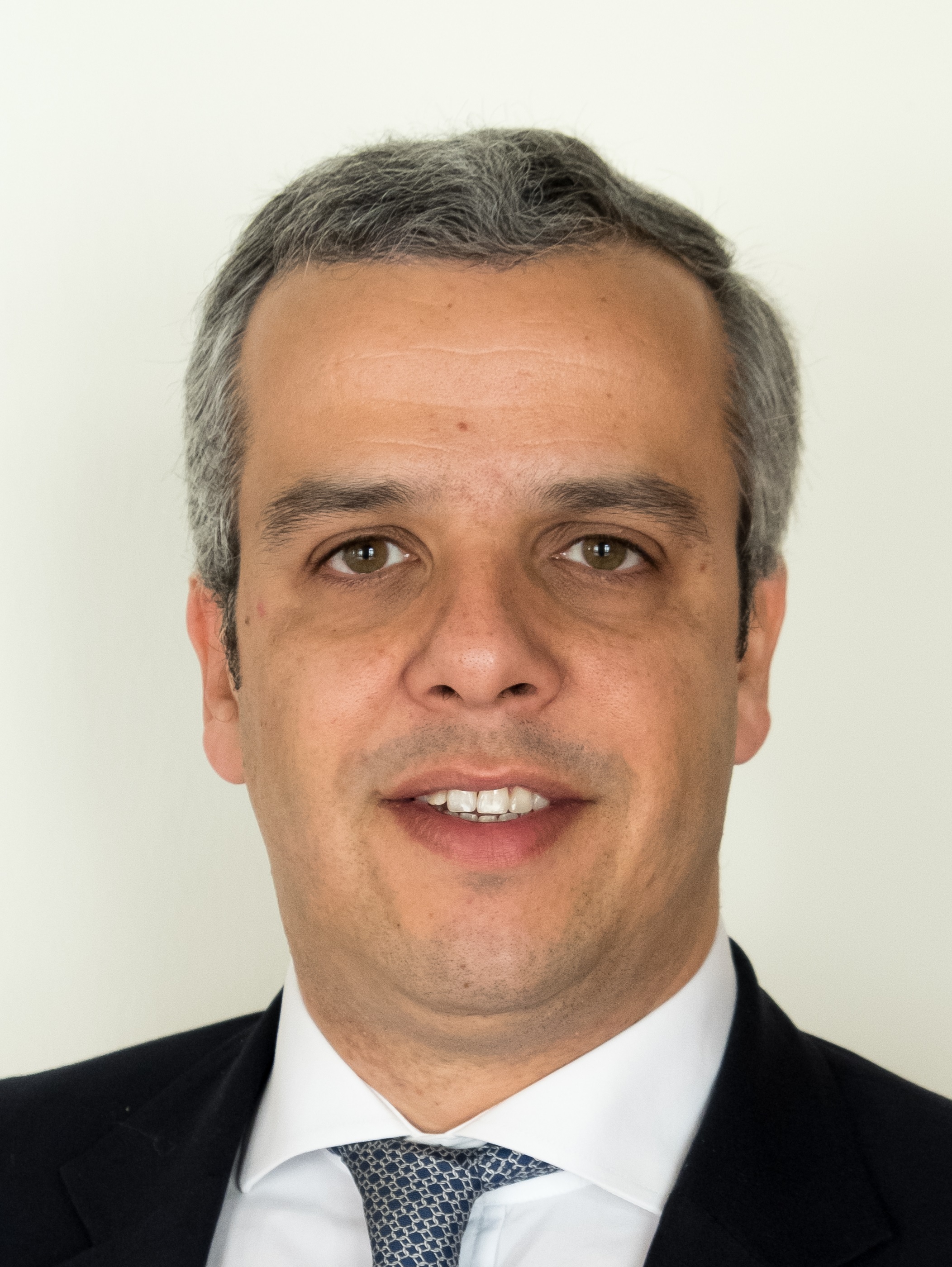 João Pedro Guimarães Gonçalves Pereira