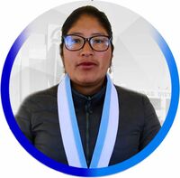 Vianney Dominga Vilca Quispe