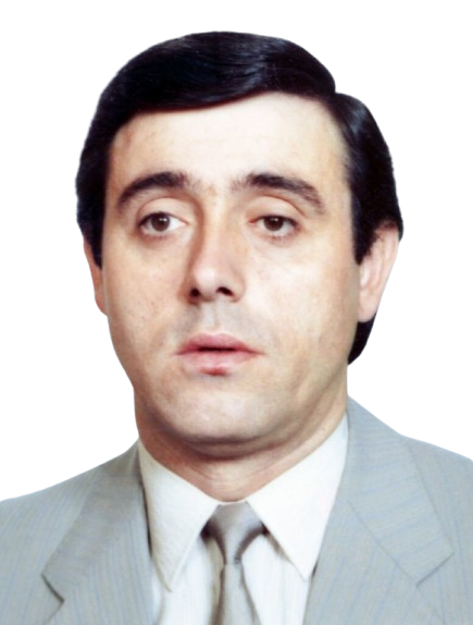 José Manuel Da Silva Torres