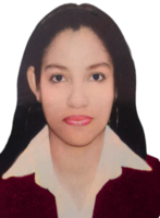 Deisy Yuliana Llerena Garcia