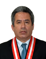 Aldo Figueroa Navarro