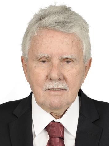Luiz Antonio C. C. Corrêa Da Silva