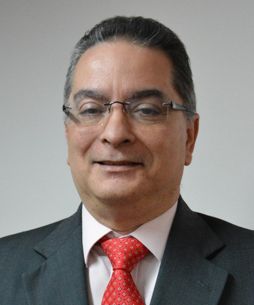 Hernando Guida Ponce