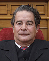 Javier Sevilla Navarro