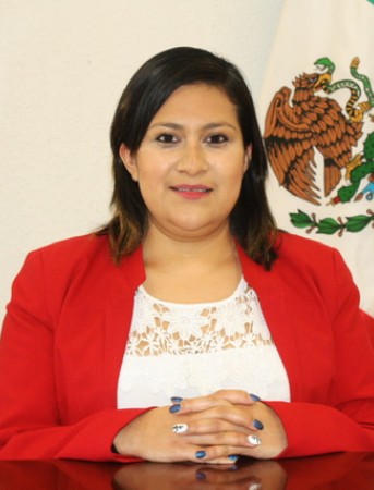 Luz Viridiana Patlán Romero
