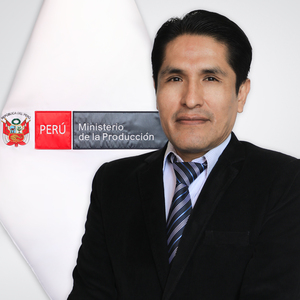 Renzo José Figueroa Palomino