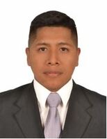 Alex Fernando Torres Chahuara
