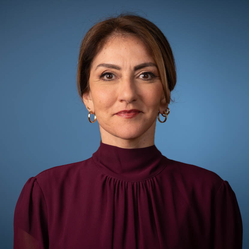 Dilan Yeşilgöz-Zegerius