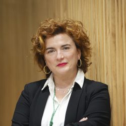 Rosa María Lavín Ibarra