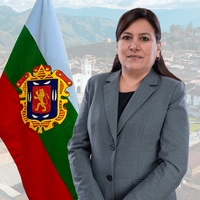 Geraldine Milagros Tenorio Holguin