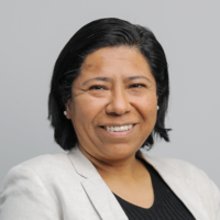 Silvia Concepción Camarena Arestegui