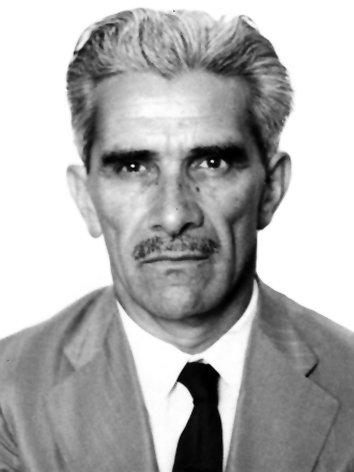 Henrique Henkin