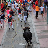 Ayuntamiento De Benavente-Fiesta Del Toro Enmaromado
