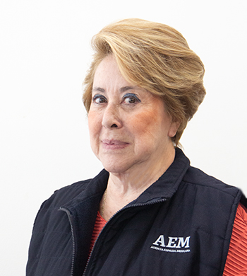 Rosa Ma Ramírez De Arellano Y Haro