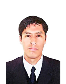 David A. Palomino Olivos