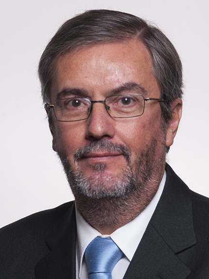 álvaro Manuel Reis Batista