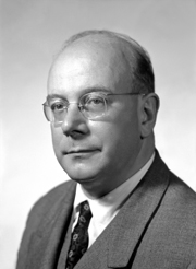 Giorgio Braccesi