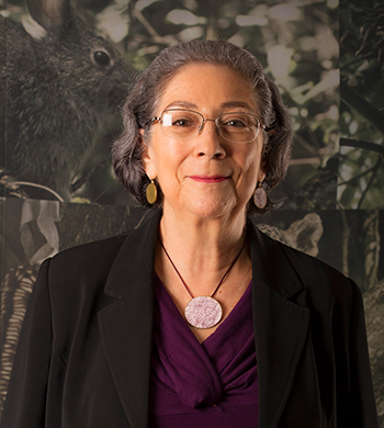 Ana Luisa Guzmán