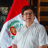 Jose Julio Vinelli Vega