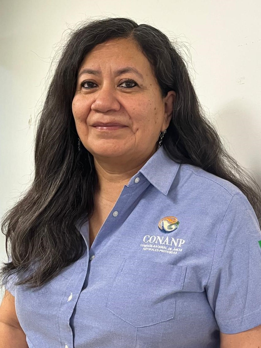Cecilia García Chavelas