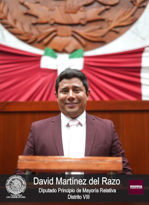 David Martinez Del Razo