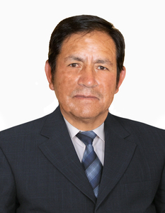 Gaspar Vargas Condori