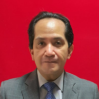 Julio Ernesto Salas Becerra