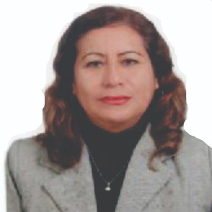 Irma Constancia Villajulca Esutaquio