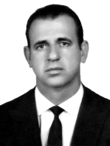 Haroldo Leon Peres
